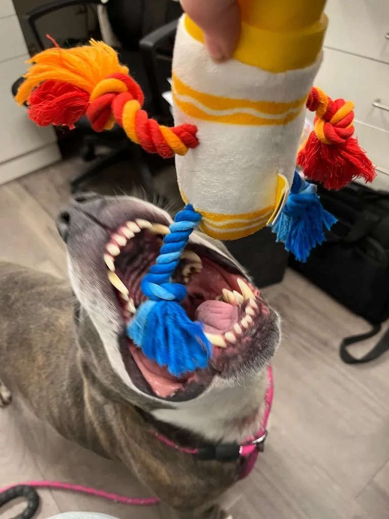 Granny May thumbnail 5