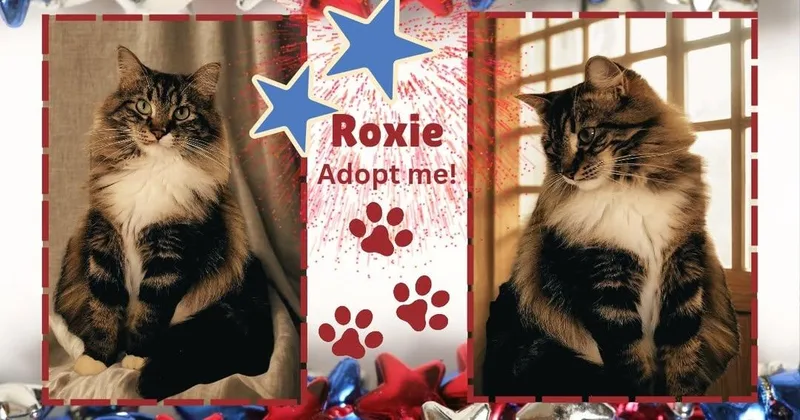 Roxie