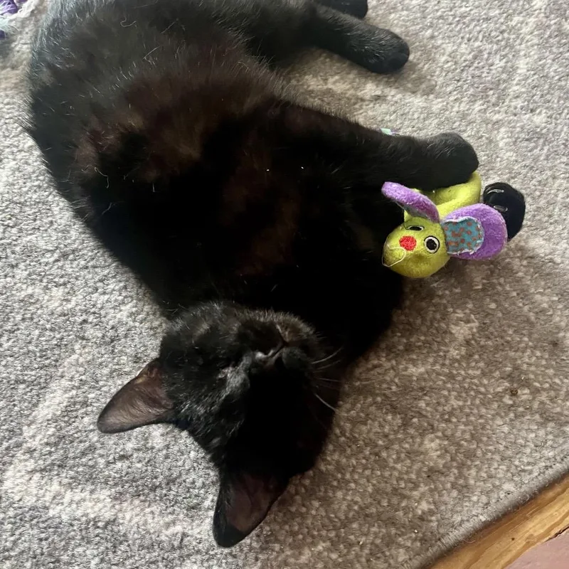 Fahrenheit thumbnail 3