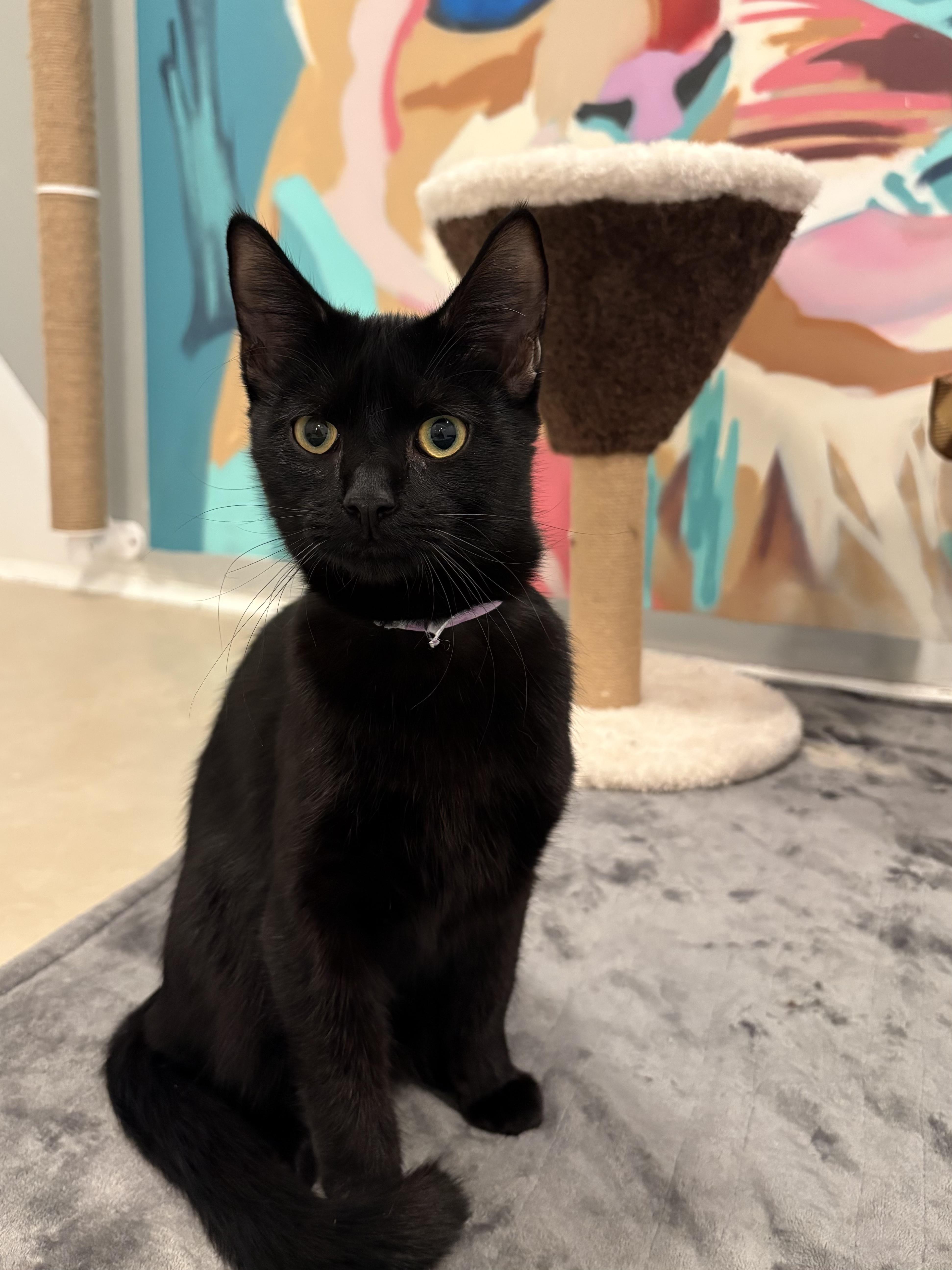 Beat Box thumbnail 3