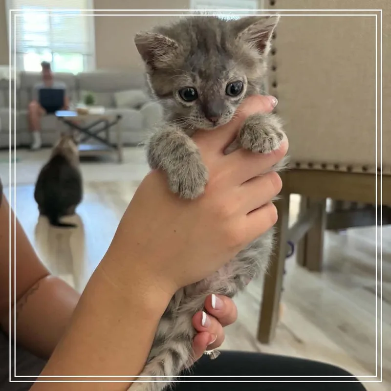 Baby thumbnail 5