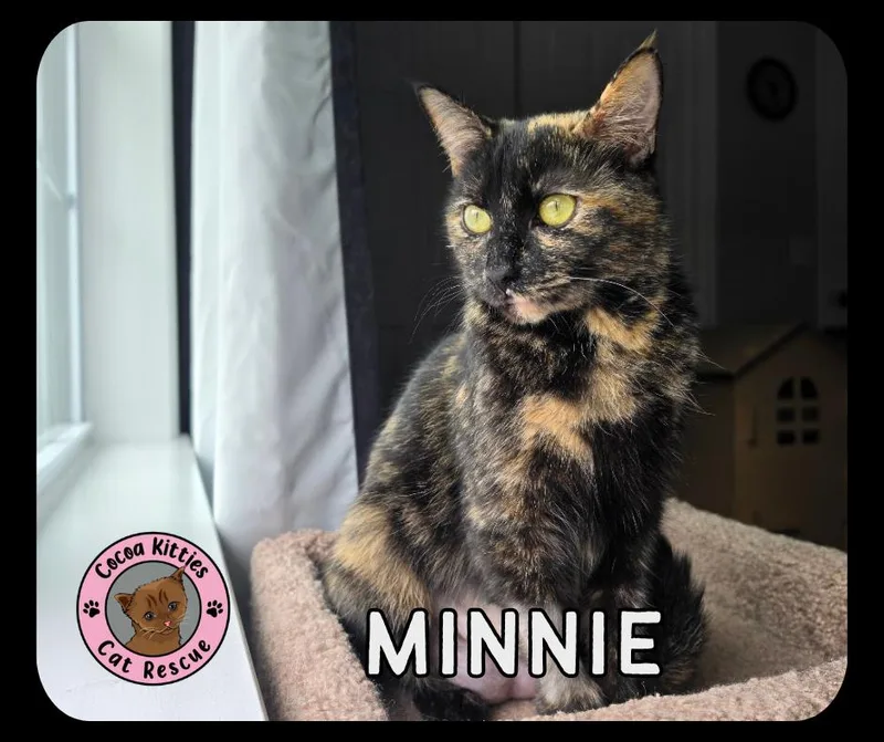 Minnie thumbnail 3