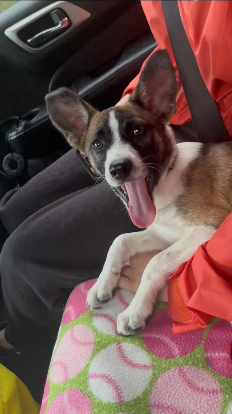 Mia Mars  Local thumbnail 6