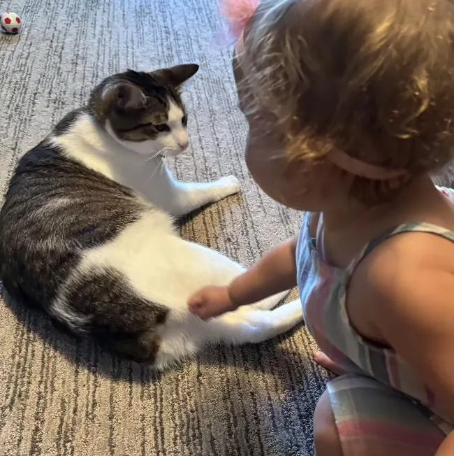 Pippin Your Loving Soul