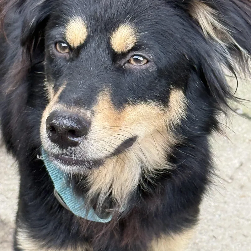 Milo