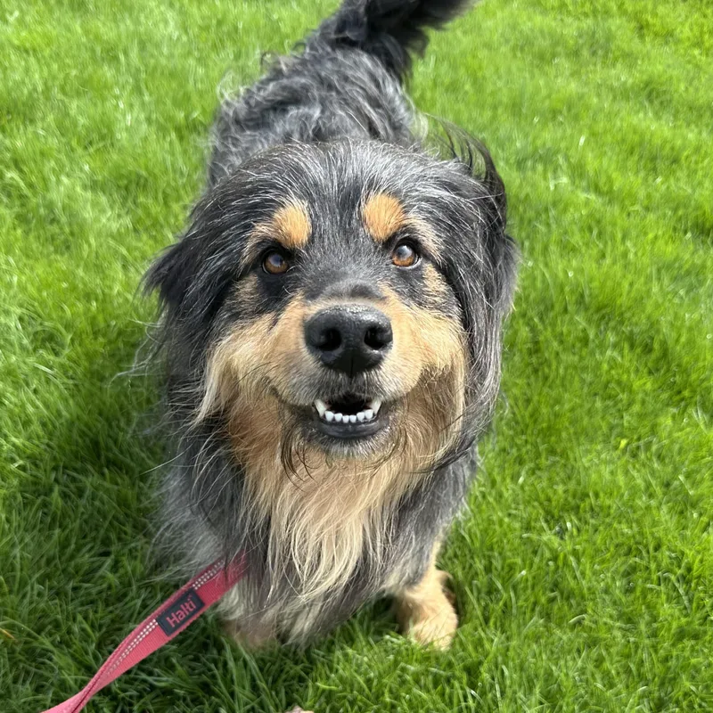 Zeus