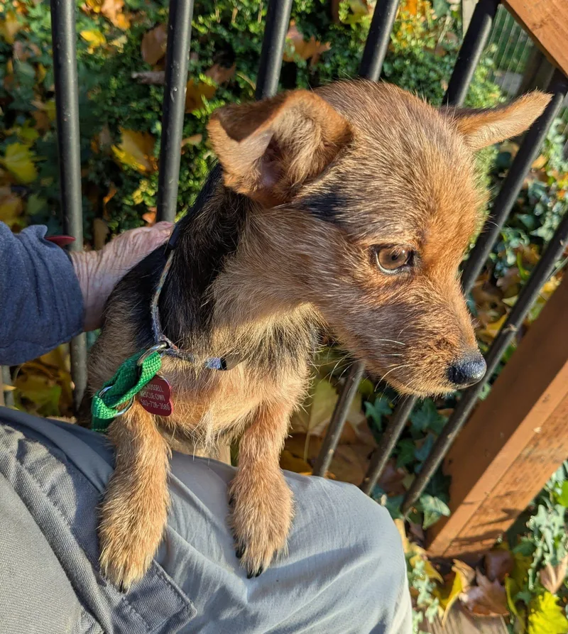 Miss Vicki thumbnail 2