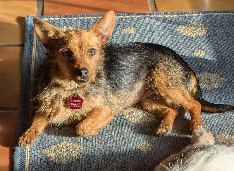 Miss Vicki thumbnail 3