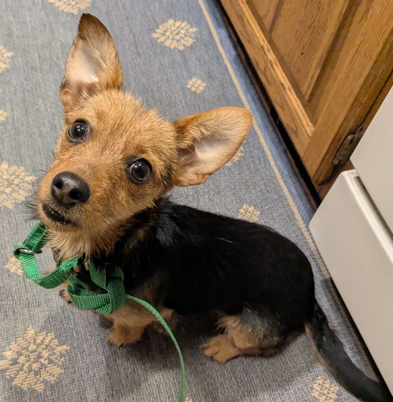 Miss Vicki thumbnail 5