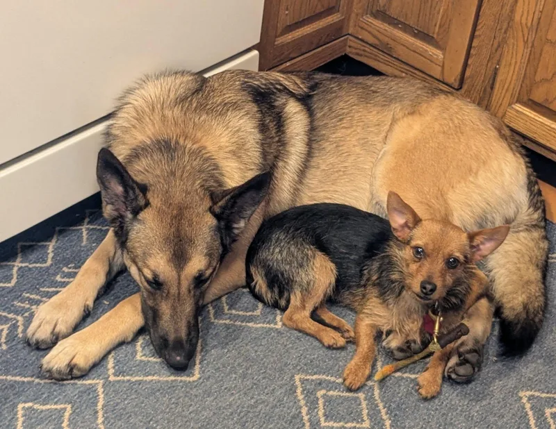 Miss Vicki thumbnail 6