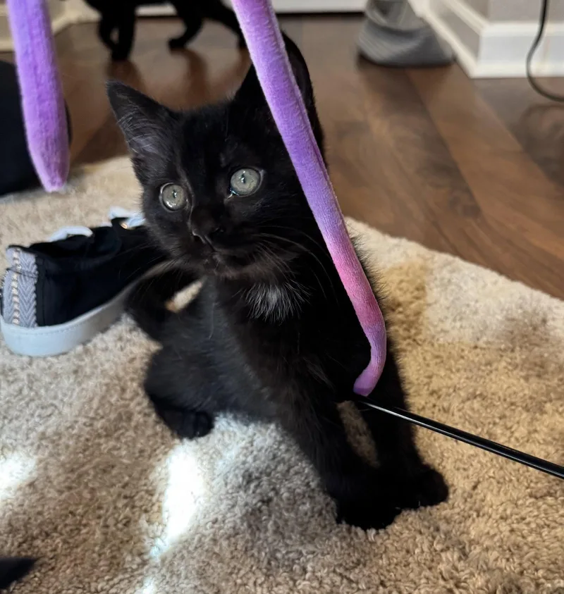 Maisy May thumbnail 3