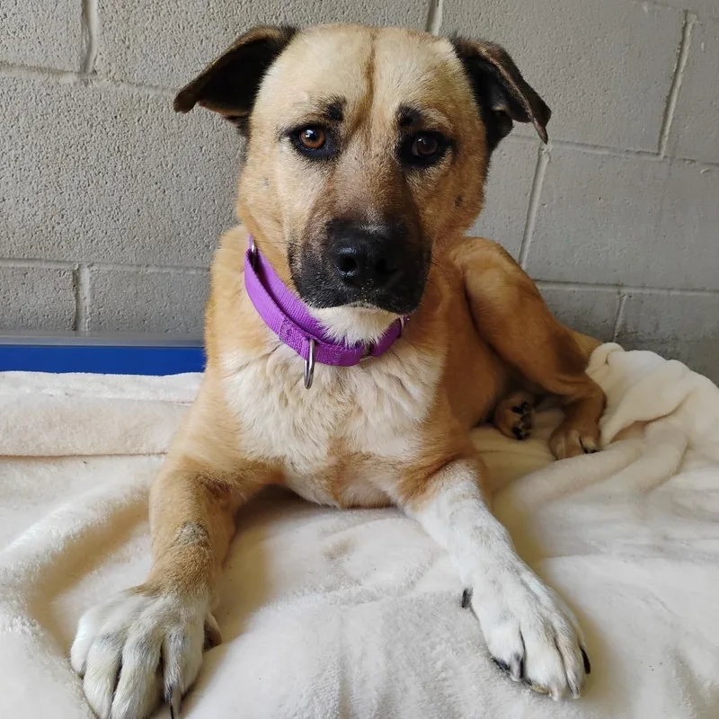 Thatcher thumbnail 4