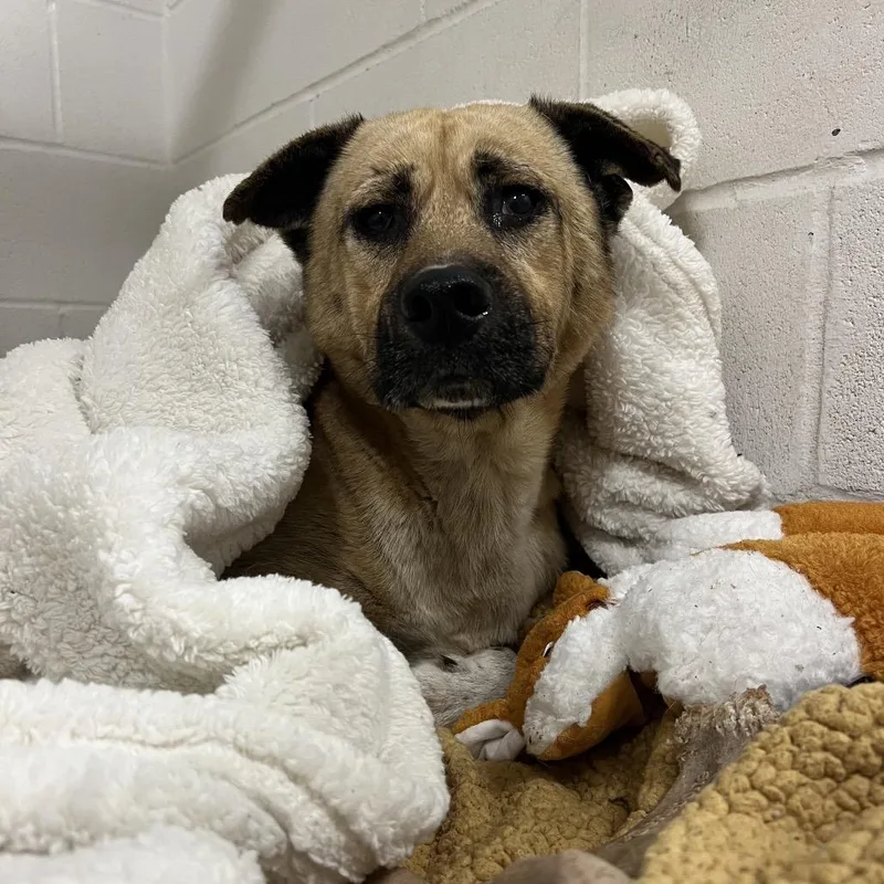 Thatcher thumbnail 6