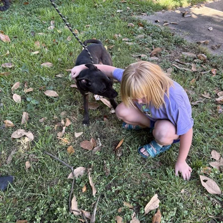 Tillie Pc thumbnail 5