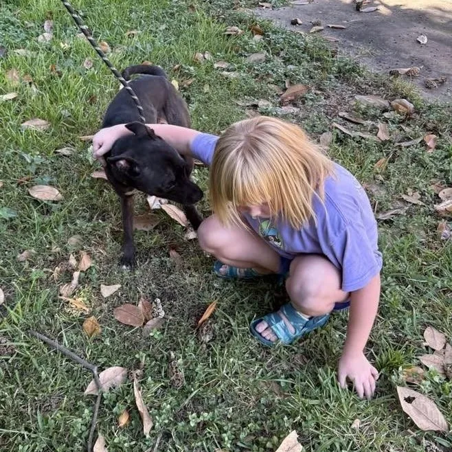 Tillie Pc thumbnail 6