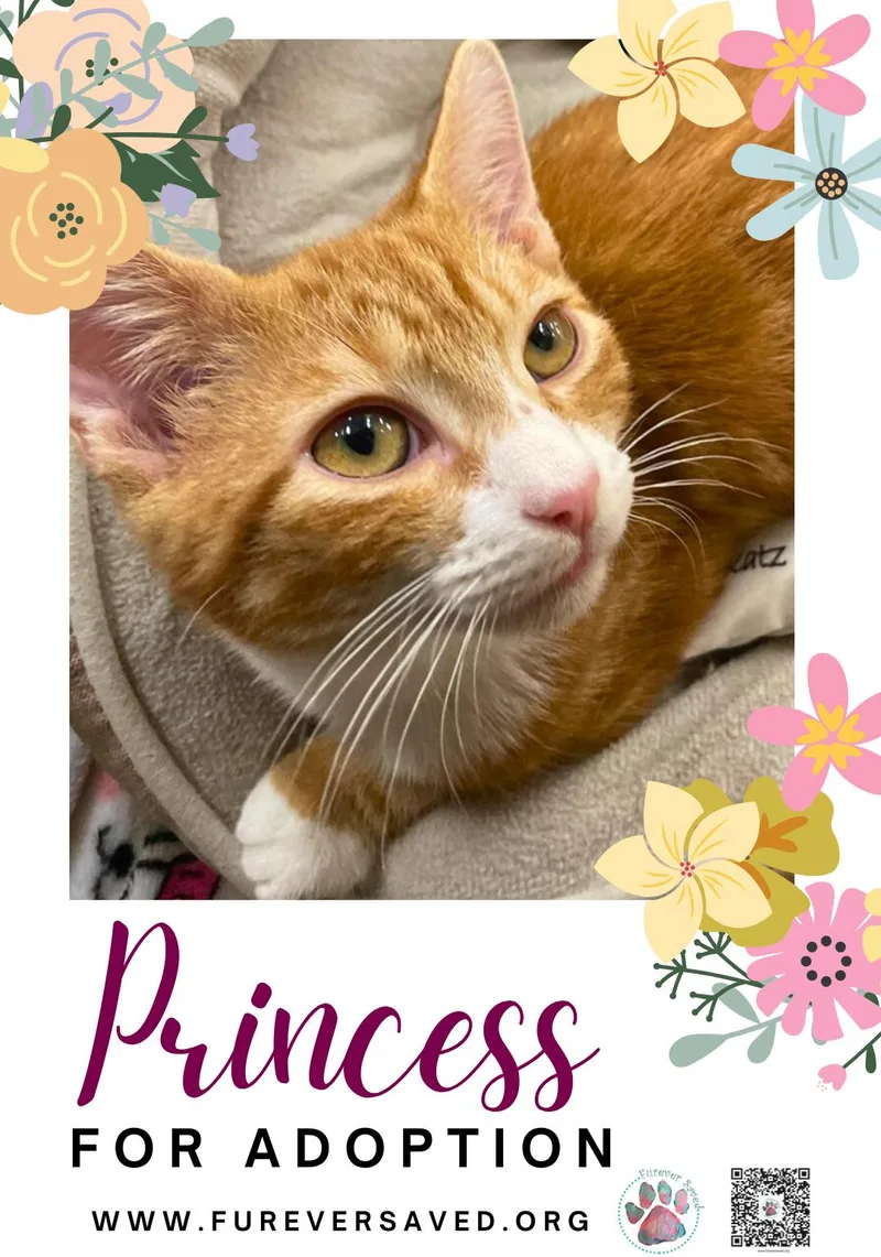 Princess thumbnail 2