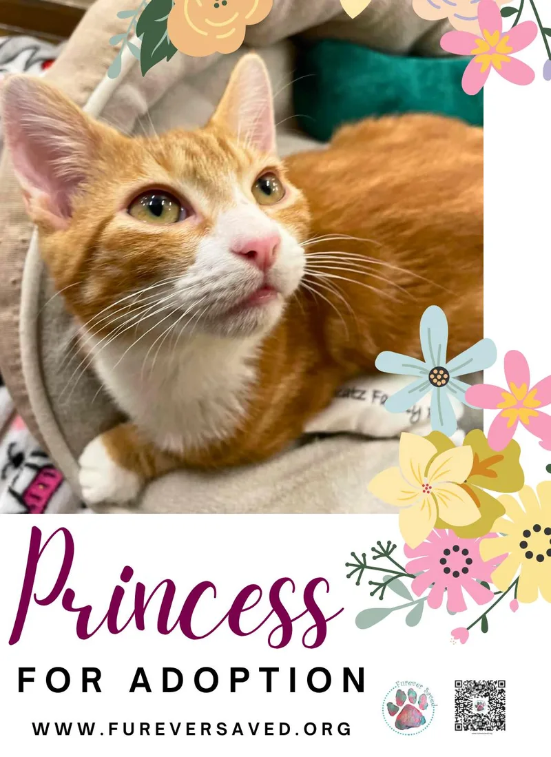 Princess thumbnail 3
