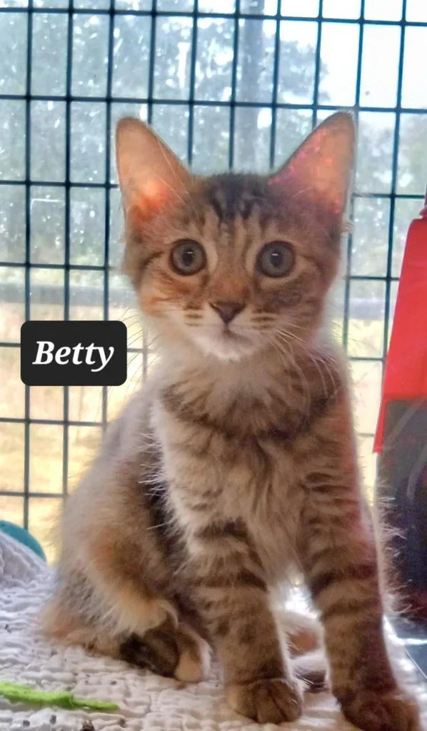 Betty