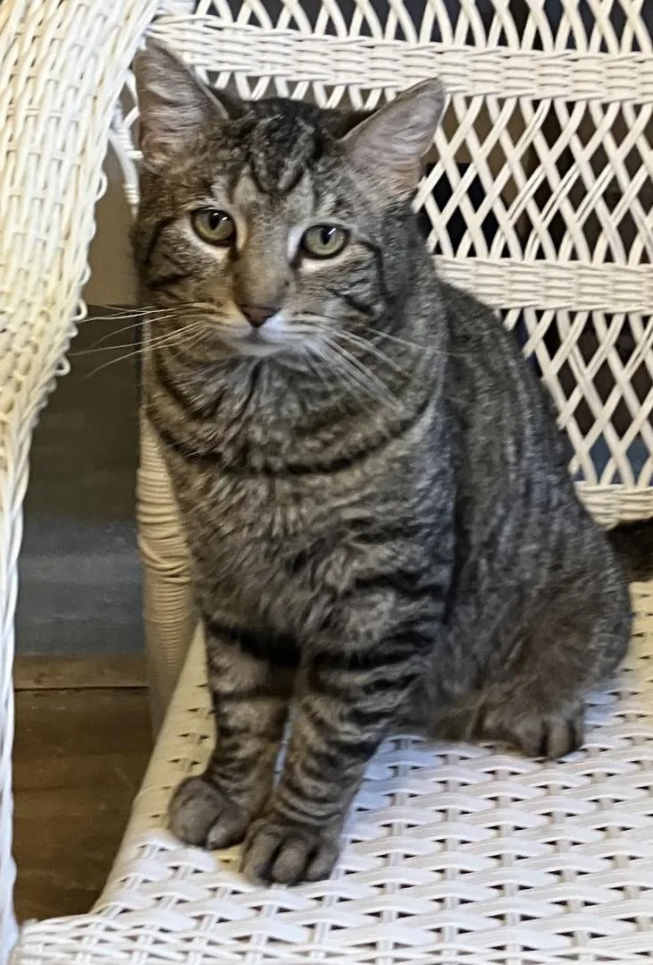 Wadsworth thumbnail 2