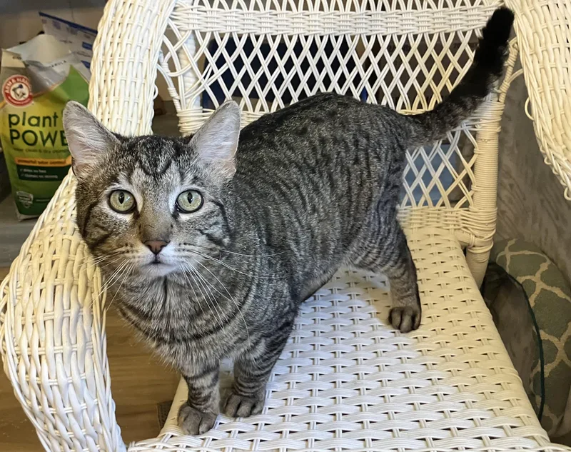 Wadsworth thumbnail 3