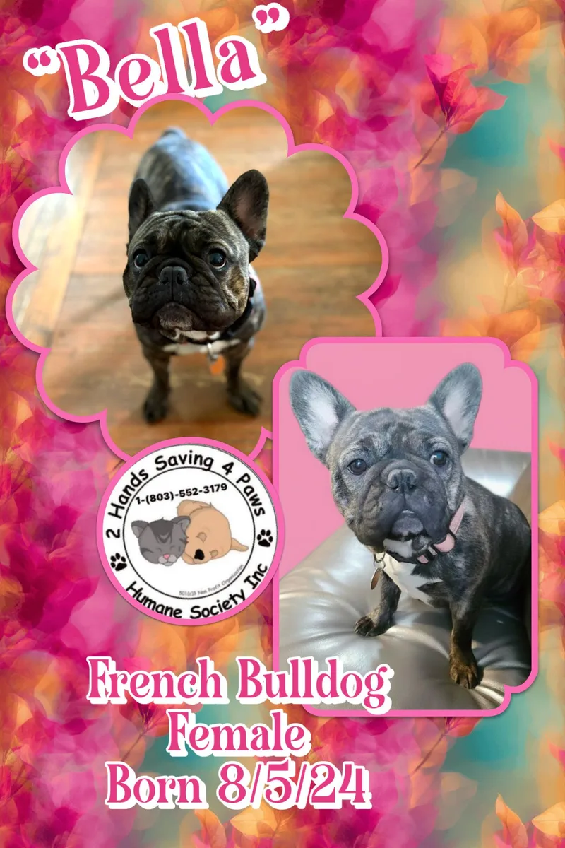 Bella thumbnail 2