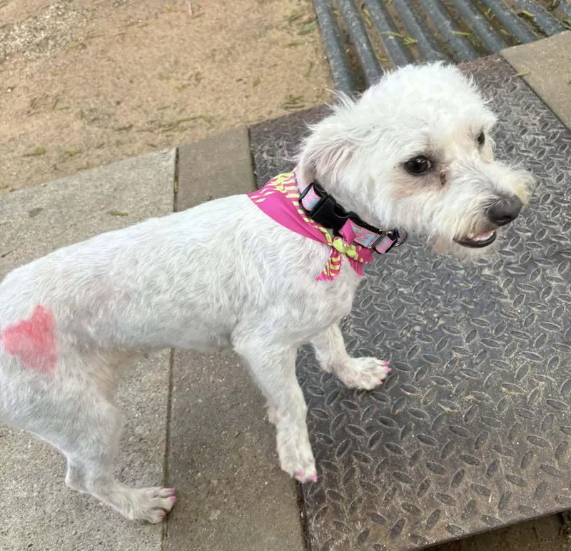 Rhianna Tx thumbnail 3