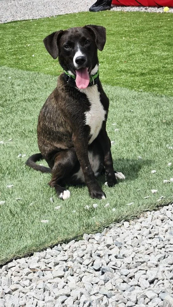 Sabrina