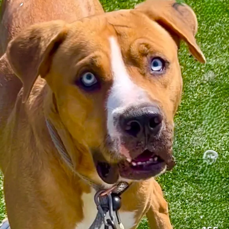 Fettiyour Bff!! thumbnail 2