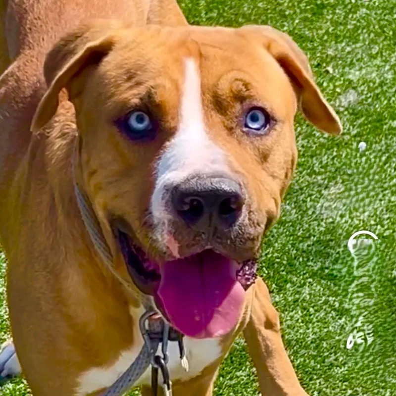 Fettiyour Bff!! thumbnail 4