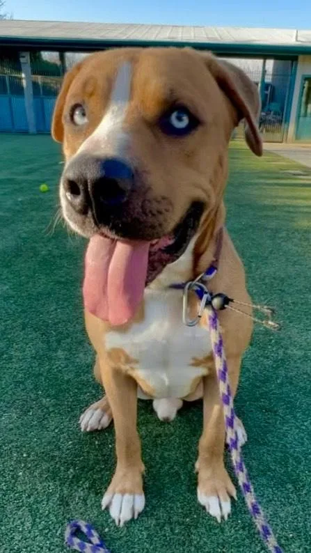 Fettiyour Bff!! thumbnail 5