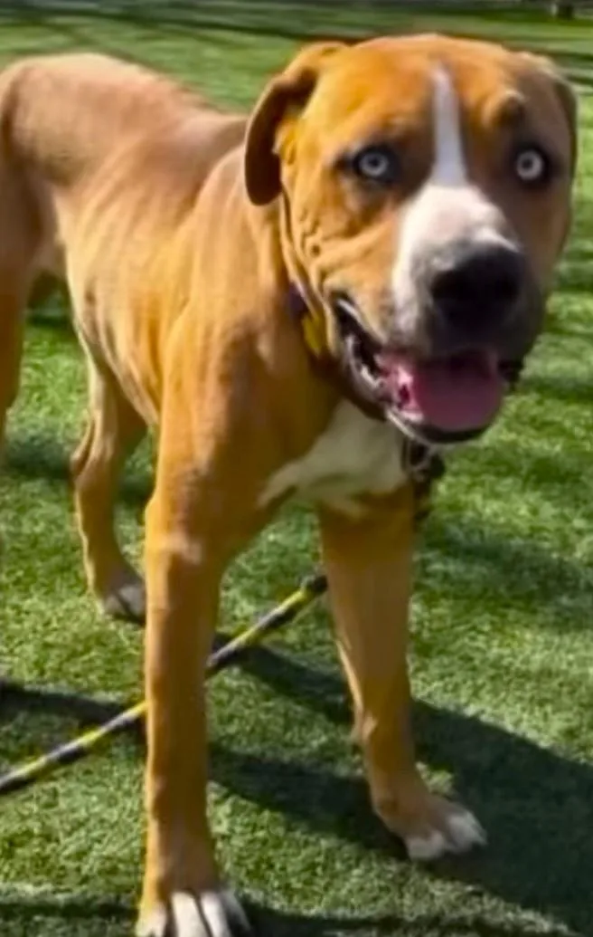 Fettiyour Bff!! thumbnail 6