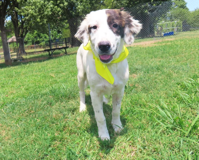 Nellie CA thumbnail 2