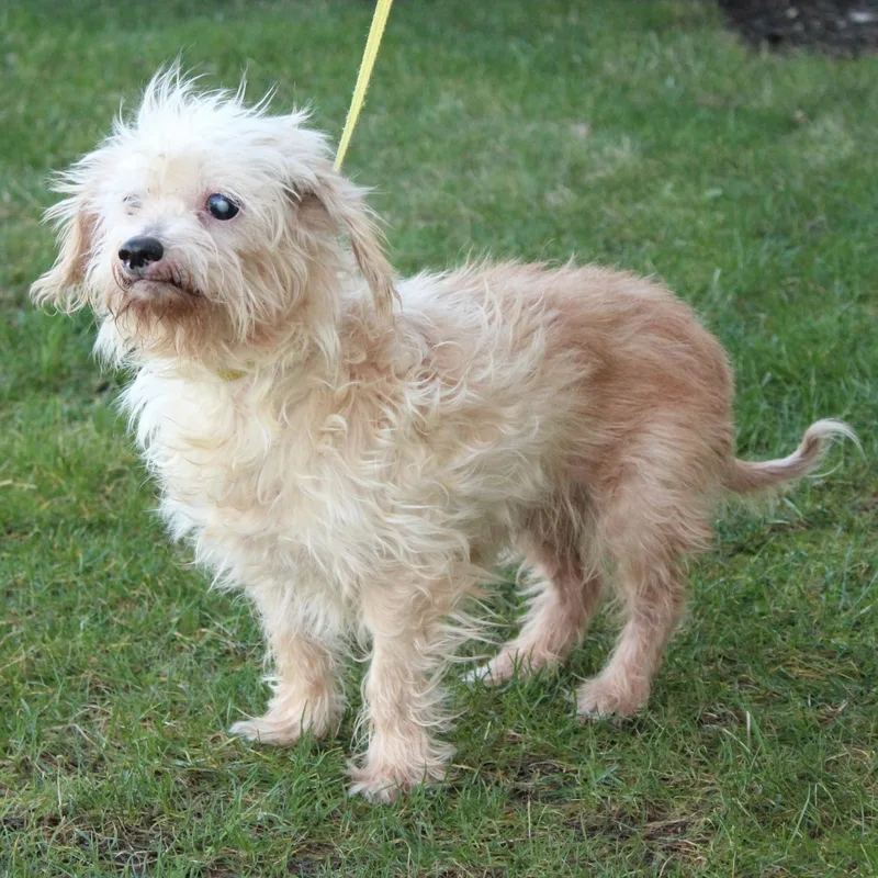 Marguerite thumbnail 2