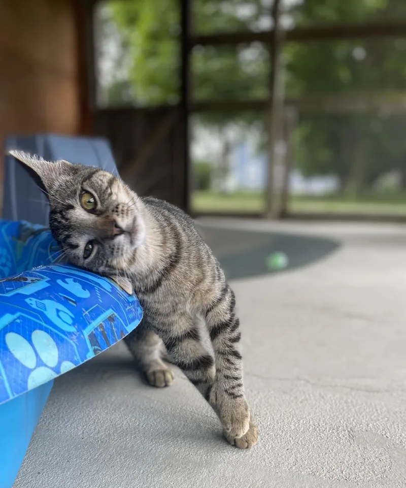 Margarita thumbnail 3