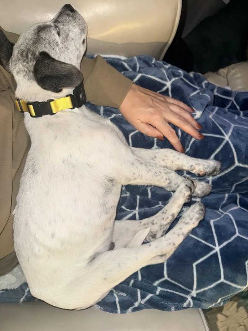 Marco Olympians  Local thumbnail 6