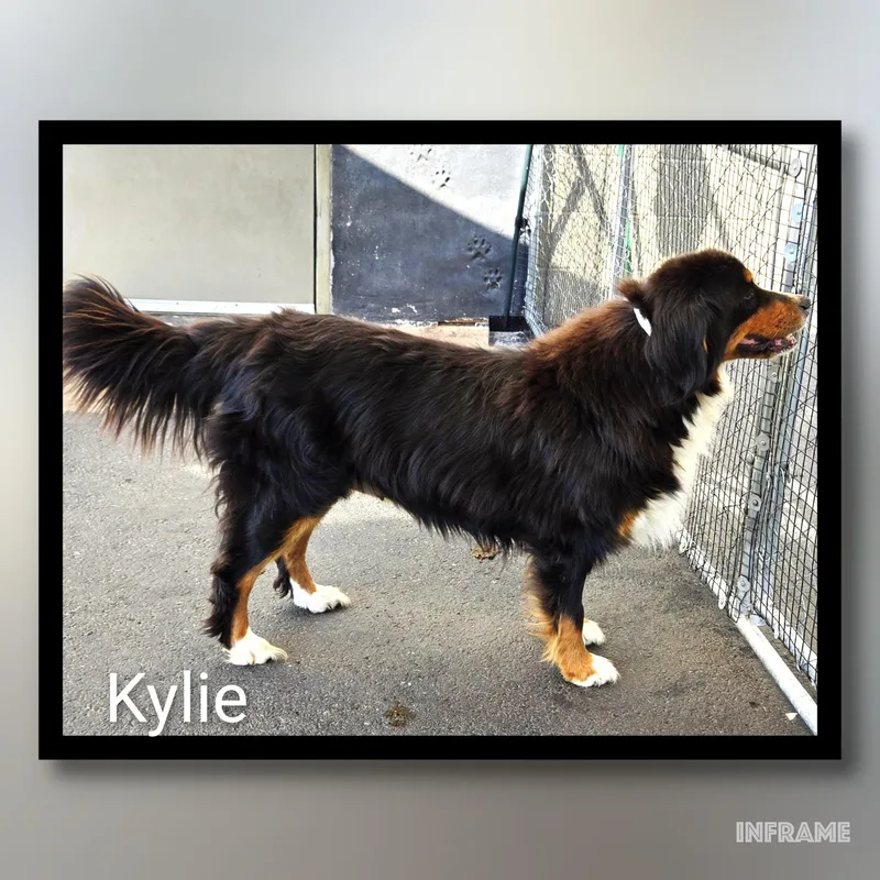 Kylie thumbnail 5