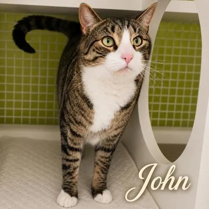 John thumbnail 2