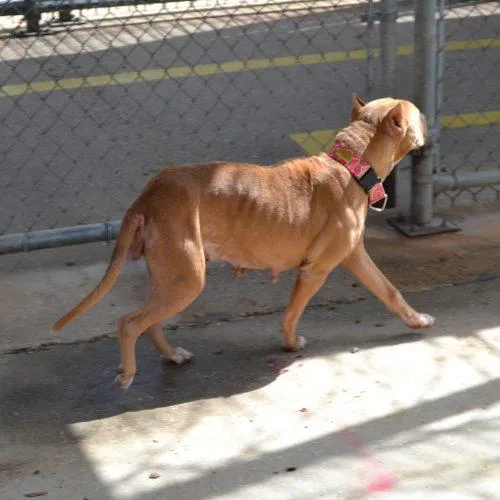 Ms. Jones thumbnail 2