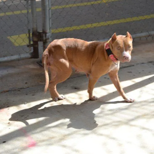 Ms. Jones thumbnail 3