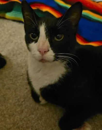 Missy