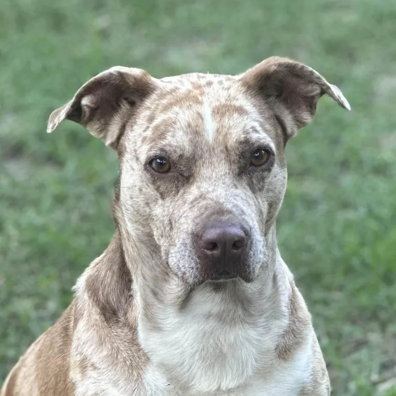 Bernadette