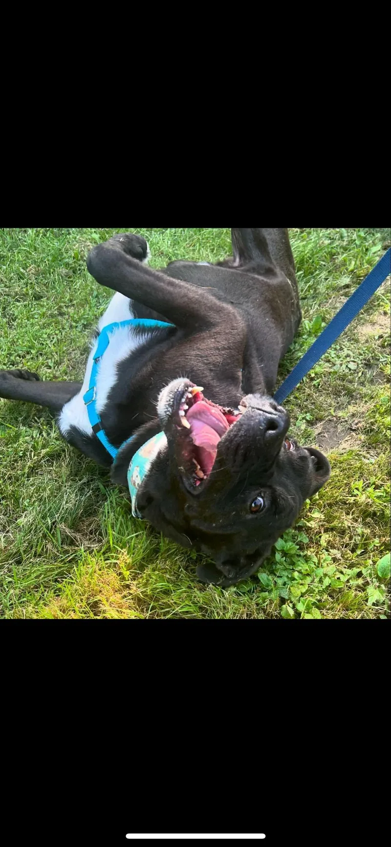 Nickerson thumbnail 3