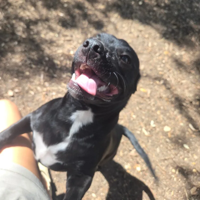 Mac