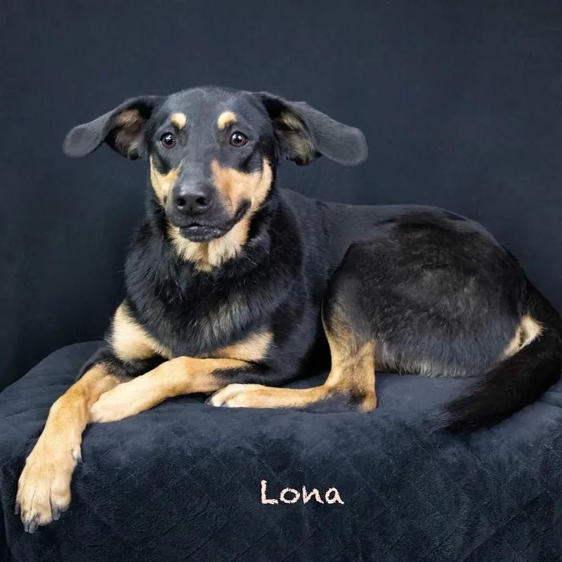 Lona thumbnail 2