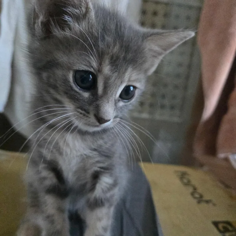 Mila Baby thumbnail 2