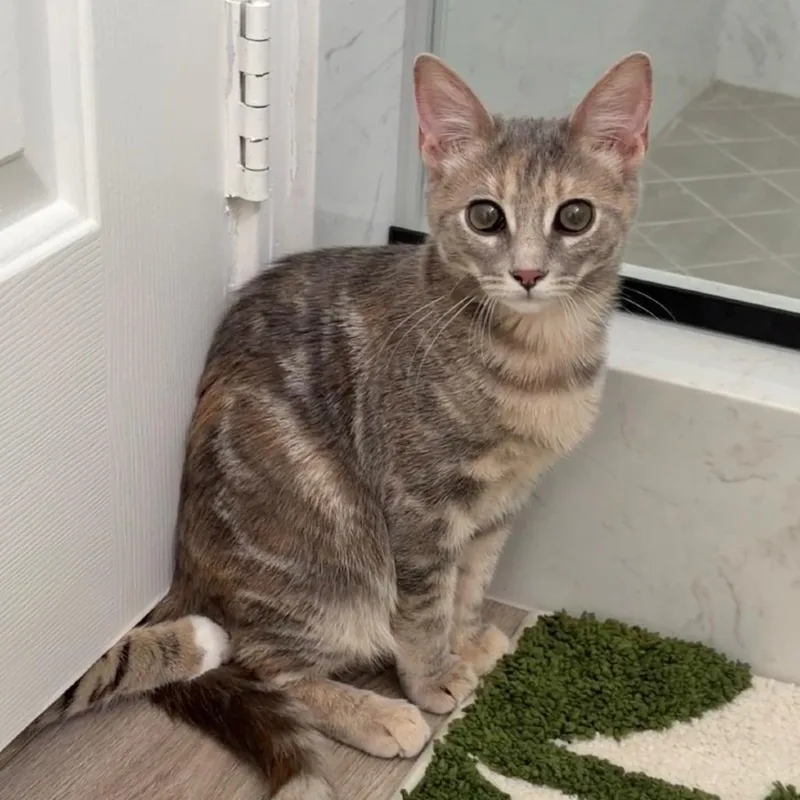 Mila Baby thumbnail 3