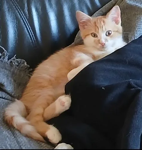 Peaches thumbnail 2
