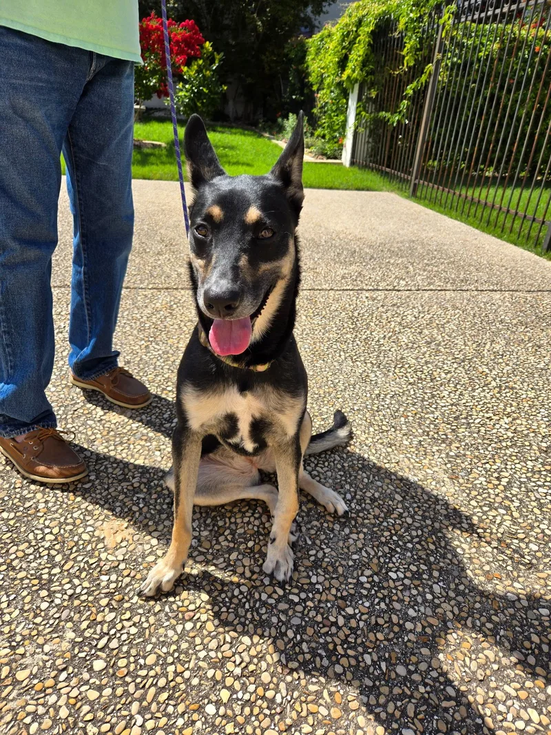 Miss Blue thumbnail 2