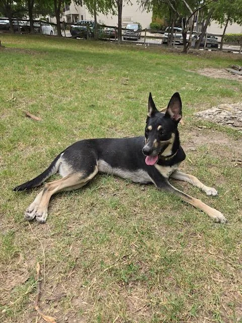 Miss Blue thumbnail 3