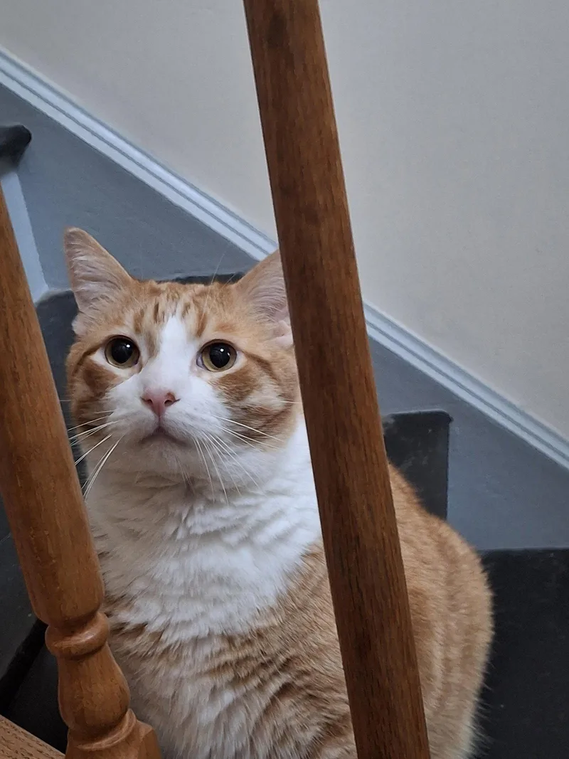 Colby thumbnail 3